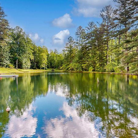 فيلا Bull Creek Peaceful Escape آشفيل المظهر الخارجي الصورة